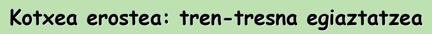 Kotxea erostea: tren-tresna egiaztatzea
