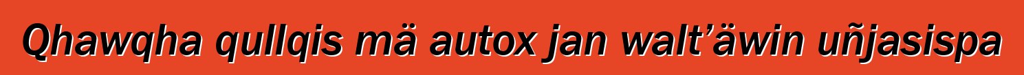 Qhawqha qullqis mä autox jan walt’äwin uñjasispa