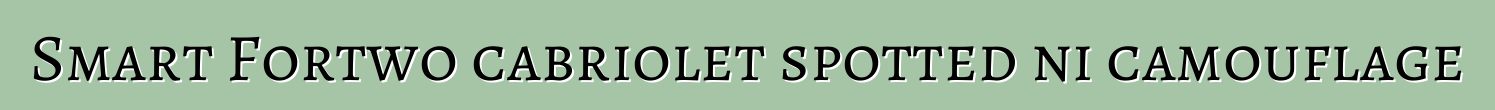 Smart Fortwo cabriolet spotted ni camouflage