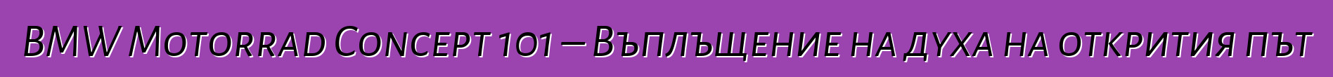 BMW Motorrad Concept 101 – Въплъщение на духа на открития път