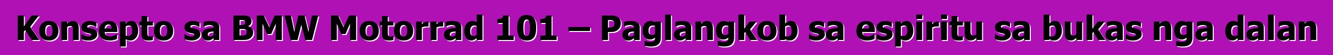 Konsepto sa BMW Motorrad 101 – Paglangkob sa espiritu sa bukas nga dalan