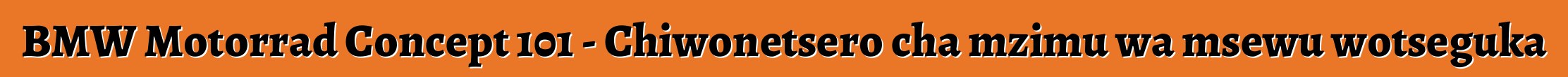 BMW Motorrad Concept 101 - Chiwonetsero cha mzimu wa msewu wotseguka