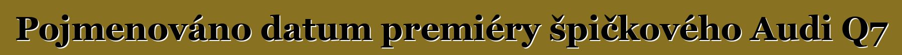 Pojmenováno datum premiéry špičkového Audi Q7