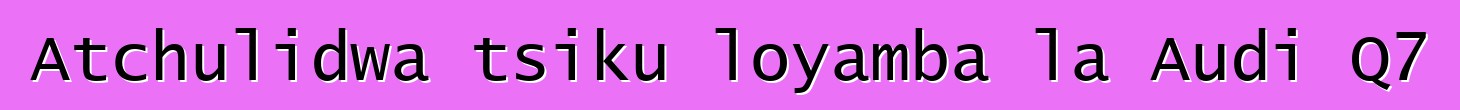 Atchulidwa tsiku loyamba la Audi Q7