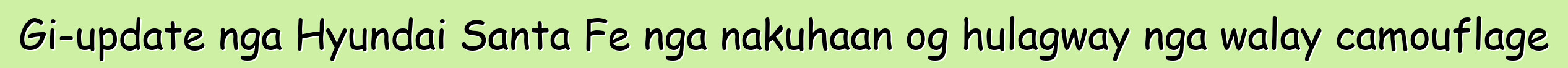 Gi-update nga Hyundai Santa Fe nga nakuhaan og hulagway nga walay camouflage