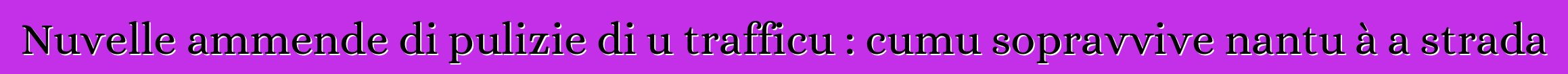 Nuvelle ammende di pulizie di u trafficu : cumu sopravvive nantu à a strada