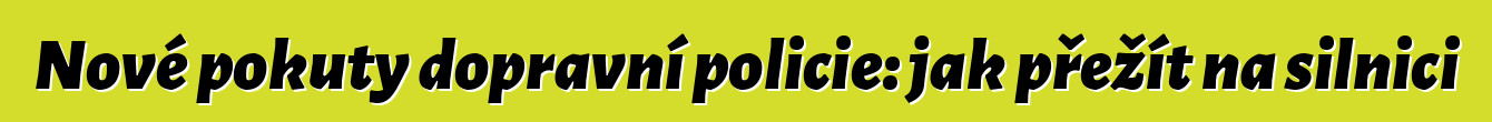 Nové pokuty dopravní policie: jak přežít na silnici