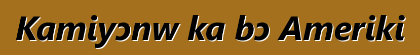Kamiyɔnw ka bɔ Ameriki