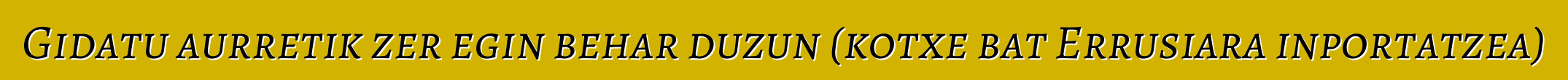 Gidatu aurretik zer egin behar duzun (kotxe bat Errusiara inportatzea)