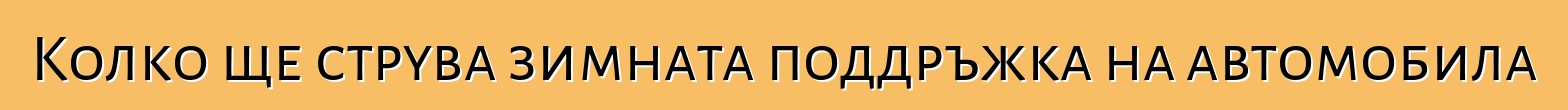 Колко ще струва зимната поддръжка на автомобила