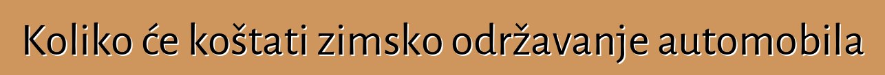 Koliko će koštati zimsko održavanje automobila