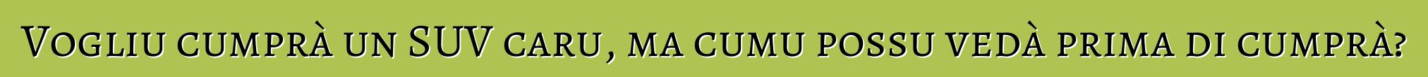 Vogliu cumprà un SUV caru, ma cumu possu vedà prima di cumprà?