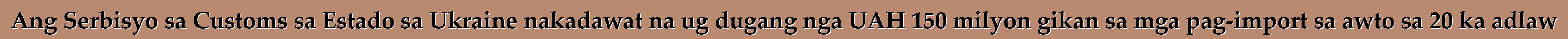 Ang Serbisyo sa Customs sa Estado sa Ukraine nakadawat na ug dugang nga UAH 150 milyon gikan sa mga pag-import sa awto sa 20 ka adlaw