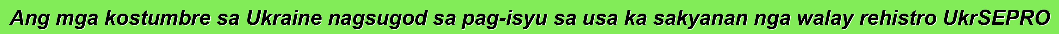 Ang mga kostumbre sa Ukraine nagsugod sa pag-isyu sa usa ka sakyanan nga walay rehistro UkrSEPRO