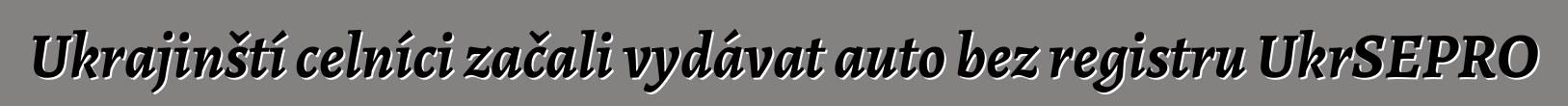 Ukrajinští celníci začali vydávat auto bez registru UkrSEPRO