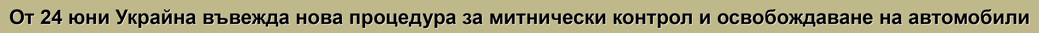 От 24 юни Украйна въвежда нова процедура за митнически контрол и освобождаване на автомобили