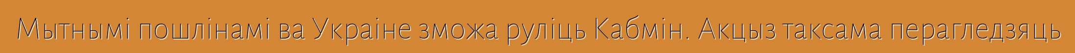 Мытнымі пошлінамі ва Украіне зможа руліць Кабмін. Акцыз таксама перагледзяць