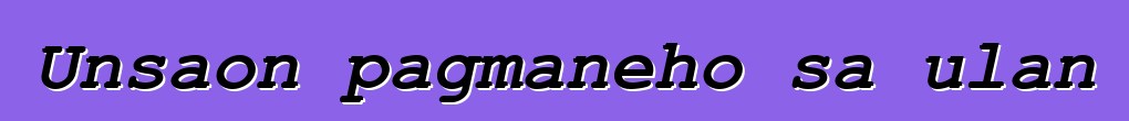 Unsaon pagmaneho sa ulan