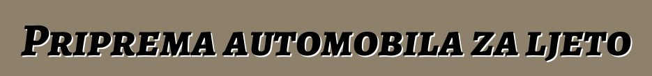 Priprema automobila za ljeto