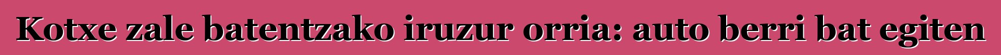 Kotxe zale batentzako iruzur orria: auto berri bat egiten