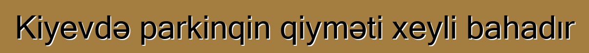 Kiyevdə parkinqin qiyməti xeyli bahadır