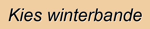 Kies winterbande