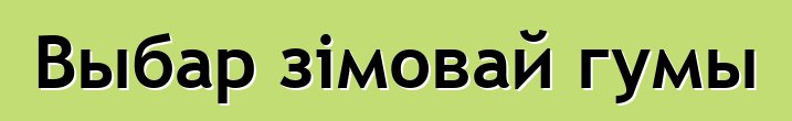 Выбар зімовай гумы
