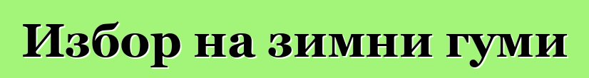 Избор на зимни гуми