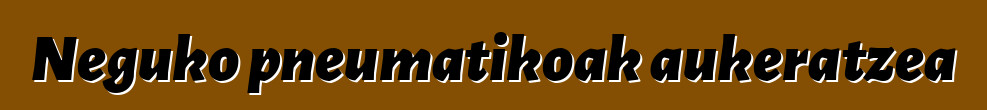 Neguko pneumatikoak aukeratzea