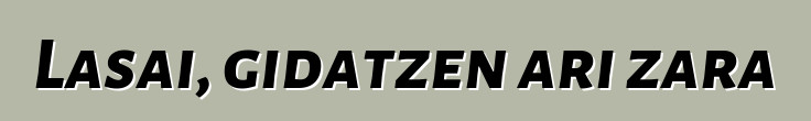 Lasai, gidatzen ari zara