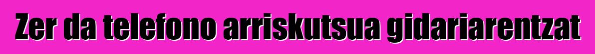 Zer da telefono arriskutsua gidariarentzat