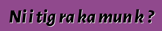 Ni i tigɛra ka mun kɛ?