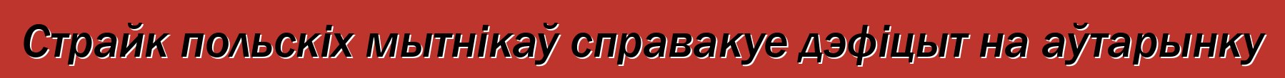 Страйк польскіх мытнікаў справакуе дэфіцыт на аўтарынку