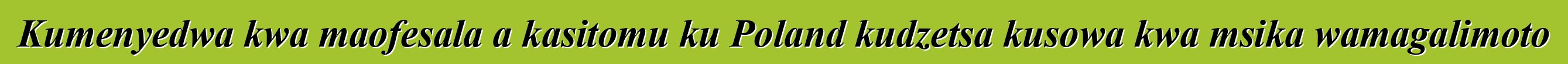 Kumenyedwa kwa maofesala a kasitomu ku Poland kudzetsa kusowa kwa msika wamagalimoto