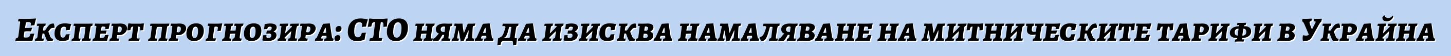 Експерт прогнозира: СТО няма да изисква намаляване на митническите тарифи в Украйна