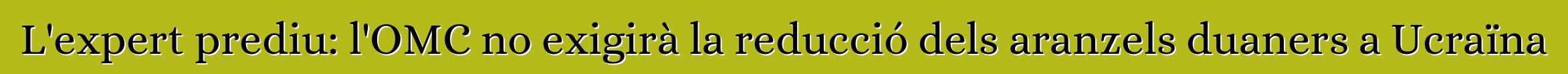 L'expert prediu: l'OMC no exigirà la reducció dels aranzels duaners a Ucraïna