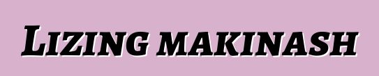 Lizing makinash