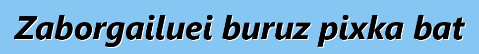 Zaborgailuei buruz pixka bat