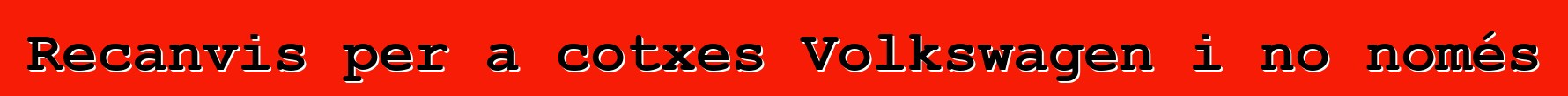 Recanvis per a cotxes Volkswagen i no només