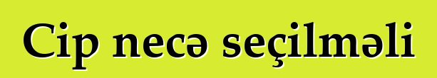 Cip necə seçilməli