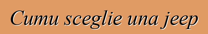 Cumu sceglie una jeep