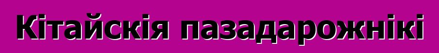 Кітайскія пазадарожнікі