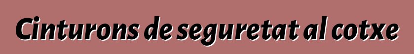 Cinturons de seguretat al cotxe