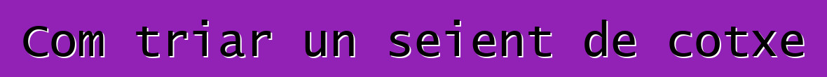 Com triar un seient de cotxe
