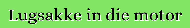 Lugsakke in die motor