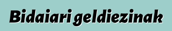 Bidaiari geldiezinak