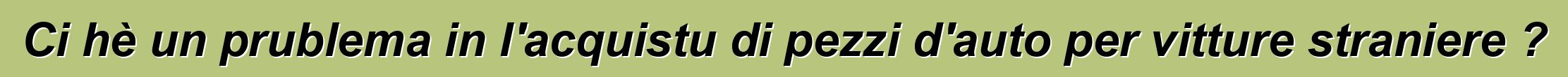 Ci hè un prublema in l'acquistu di pezzi d'auto per vitture straniere ?