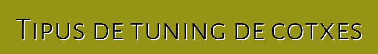 Tipus de tuning de cotxes