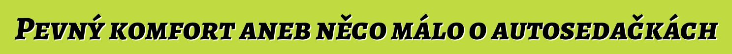 Pevný komfort aneb něco málo o autosedačkách