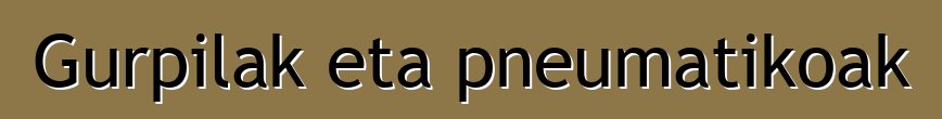 Gurpilak eta pneumatikoak
